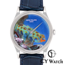 画像をギャラリービューアに読み込む, パテック・フィリップ  PATEK PHILIPPE カラトラバ トロピカル・フィッシュ 5177G-013
